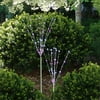 Star Trail Garden Spray Ornament