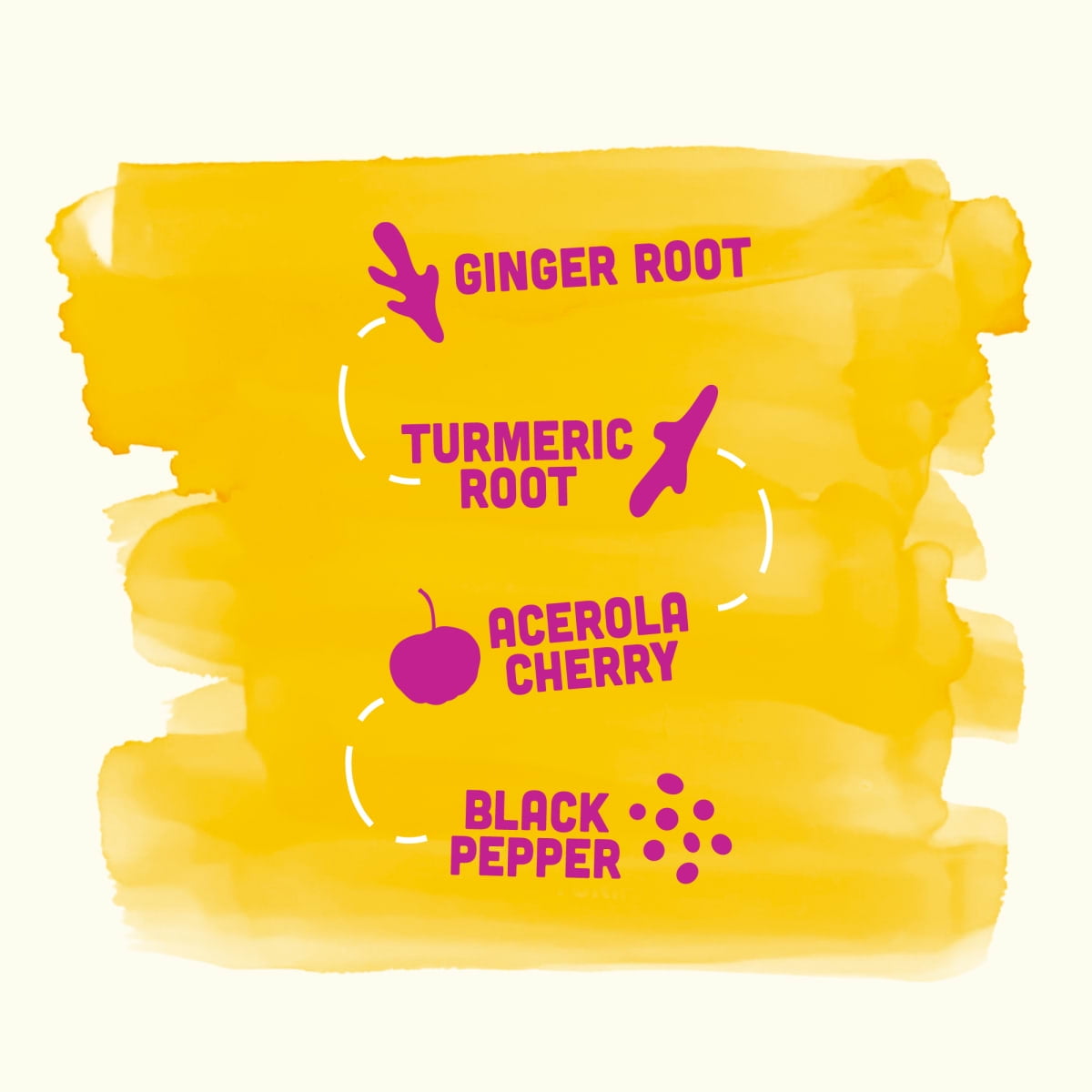 (2 pack) Vive Organic Immunity Boost Shot, Elderberry, Ginger and Turmeric Wellness Shot, 2 fl oz Bottle