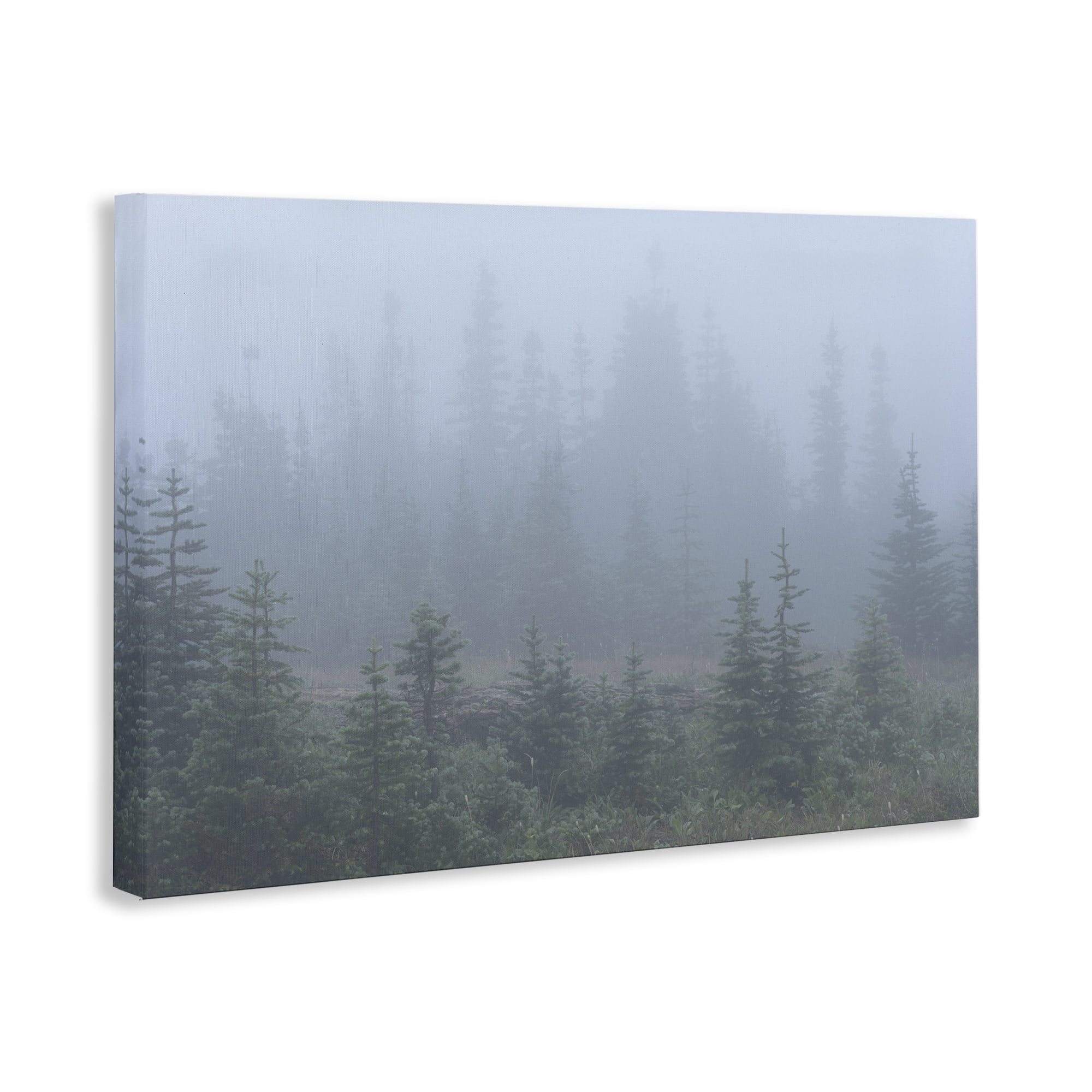 Stupell Industries Foggy Forest Trees Landscape Photography Gallery Wrapped Canvas Art Print Wall Art, 45 x 30