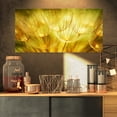 thumbnail image 1 of Soft Yellow Dandelion Flowers - Floral Photography Art, 1 of 3