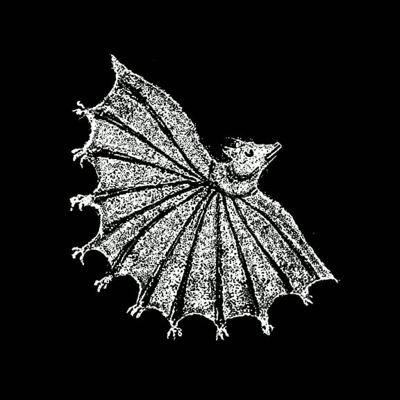 Xiu Xiu - Ignore Grief - Music & Performance - CD