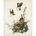 thumbnail image 2 of Audubon, John James 12x14 White Modern Wood Framed Museum Art Print Titled - Pl 137 Yellow-breasted Chat, 2 of 4