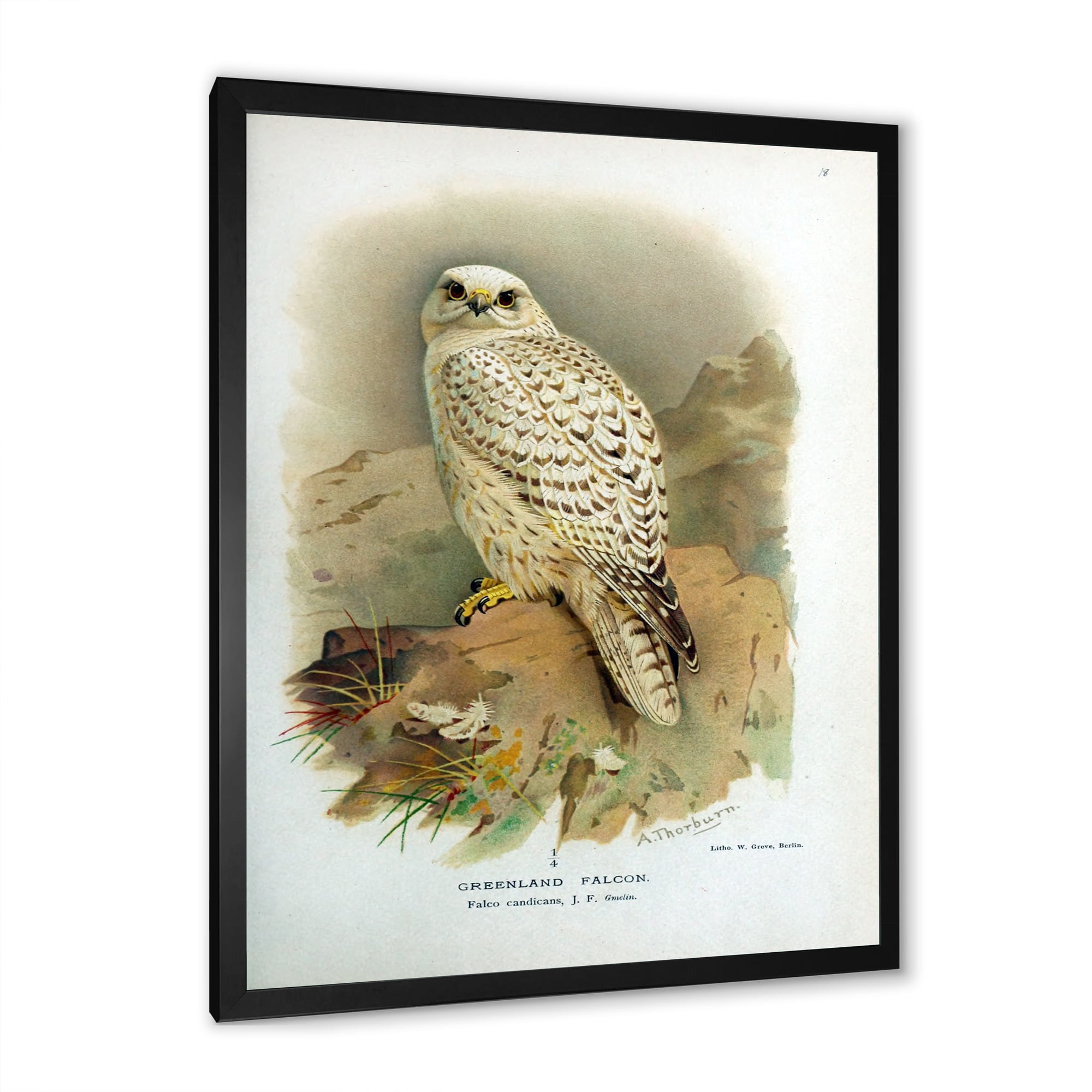 Designart 'Ancient Bird Life VII' Traditional Framed Art Print