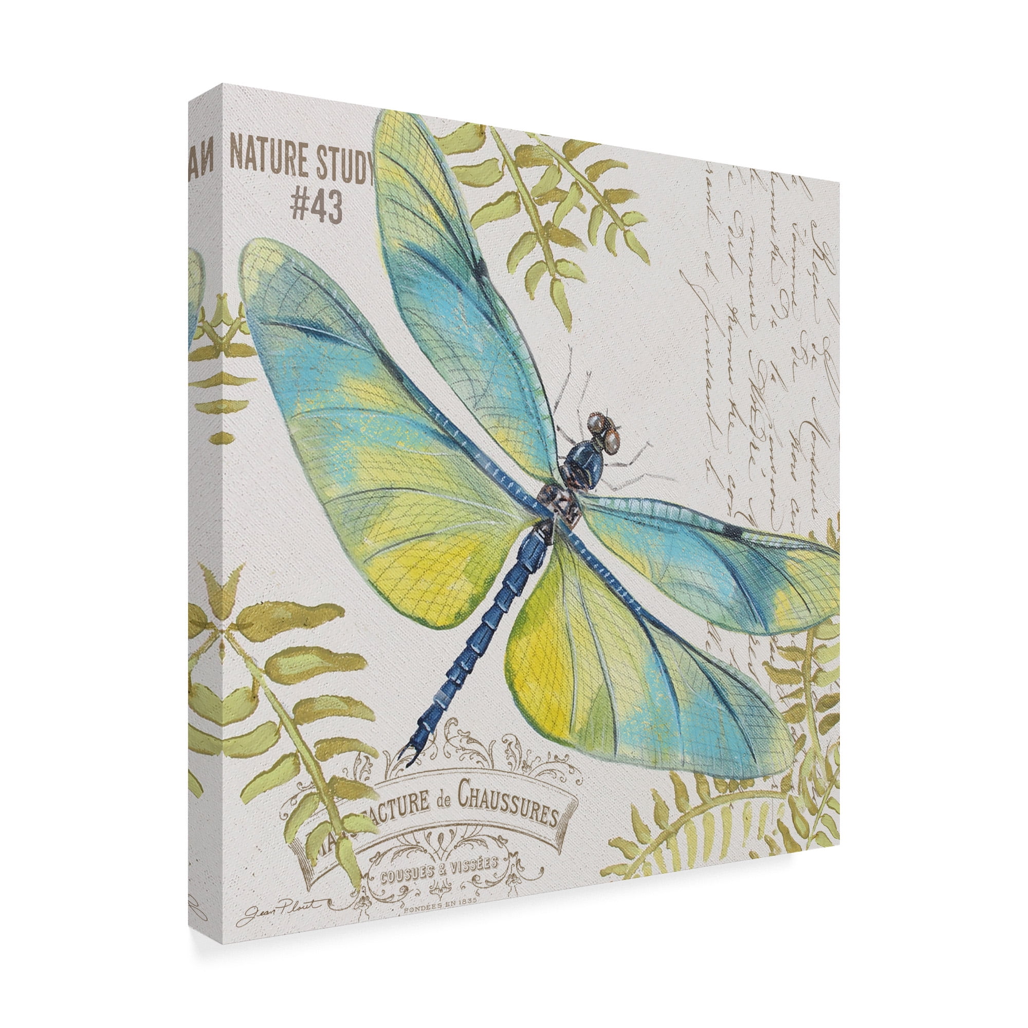 Trademark Fine Art 'Botanical Dragonfly 2' Canvas Art by Jean Plout