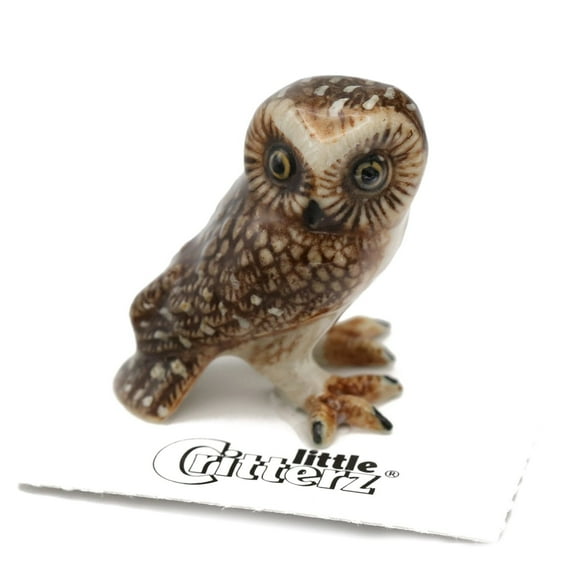 Owl- Saw-whet Owl "Sawyer" - miniature porcelain figurine