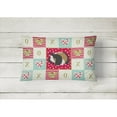 thumbnail image 2 of Sheba Guinea Pig Love Canvas Fabric Decorative Pillow, 2 of 3