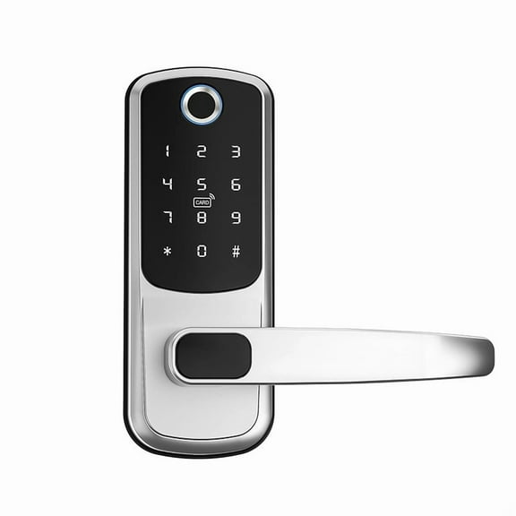 Smart Door Lock with Handle,Keyless Entry Door Locks, Fingerprint Keypad Exterior Lock - Smart Locks for Front Door - Digital Electronic Smart Lock (Silver)