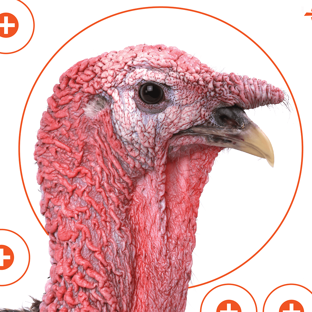 Ez Aim 4-Color Turkey Patterning Paper Targets, 12 In Square, 6-Pack, Multi-Color
