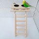 thumbnail image 5 of Parrot Feeding Cups With Clamp Holder Wood Platform Ladder Toy For Cage, 5 of 5