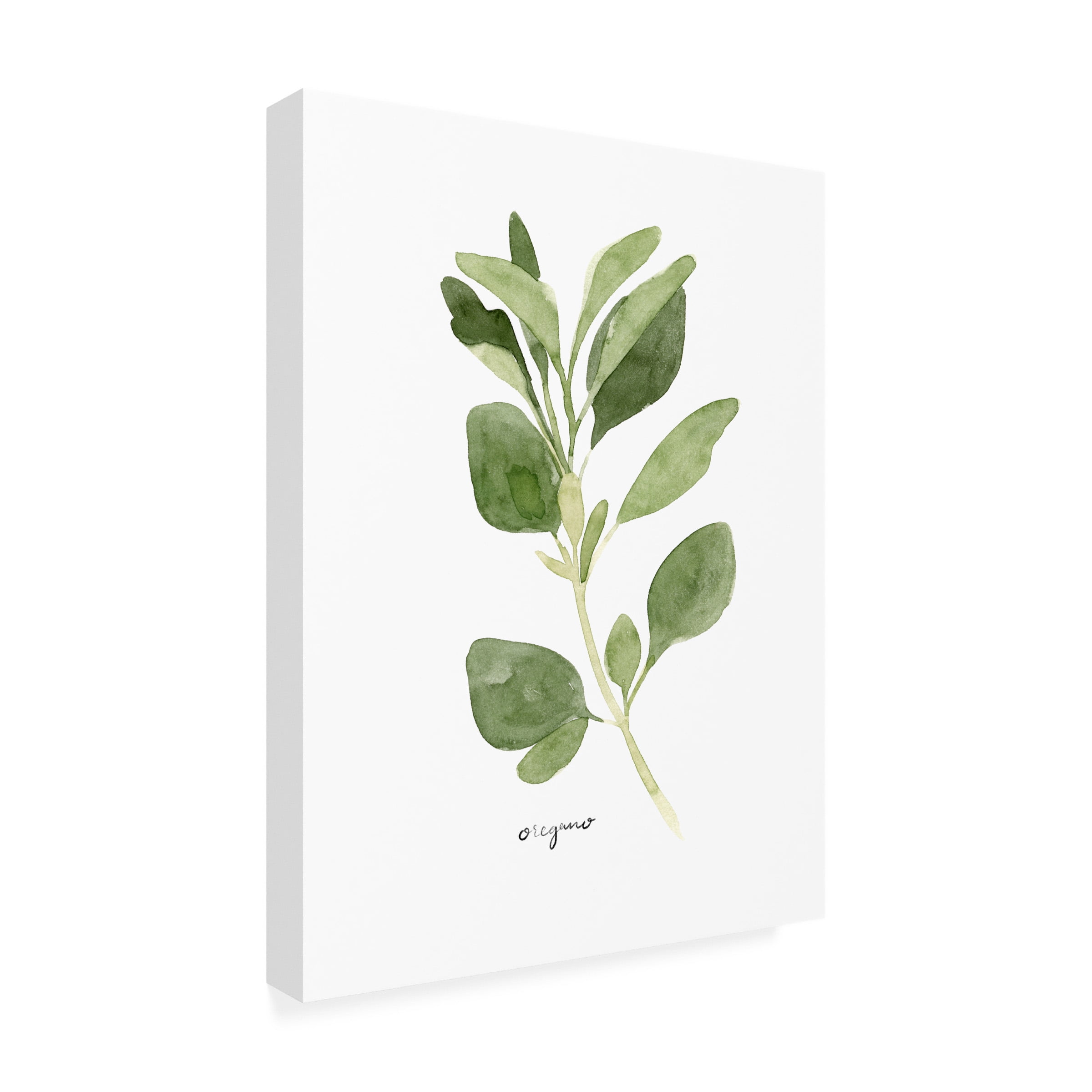 Emma Scarvey 'Herb Garden Sketches III' Canvas Art