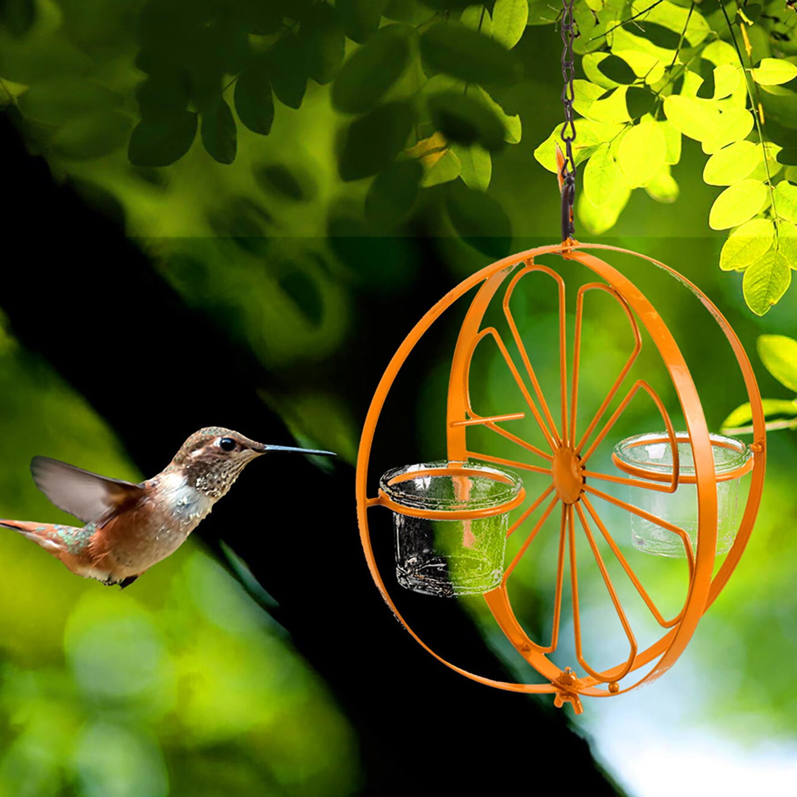 Bird Feeders Oriole Feeder for Outdoors Feeder with Jelly and Orange Fruit Feeding Station for Garden