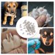 thumbnail image 5 of Ofertas Únicas 50 Pcs Tapas de Uñas Portátiles Antirayaduras para Perros Color Gris Tamaño: L, 5 of 5