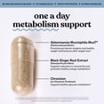 thumbnail image 4 of Lemme Metabolism Capsules, Clinically-Studied Akkermansia MucT® with Chromium & Black Ginger Extract to Support Metabolic Health, Gut Barrier Integrity, 30 Count, 4 of 7