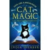 Pre-Owned Love, Lies, and Hocus Pocus Cat Magic: A Lily Singer Adventures Novella: 0 (A Lily Singer Cozy Fantasy Adventure) Paperback