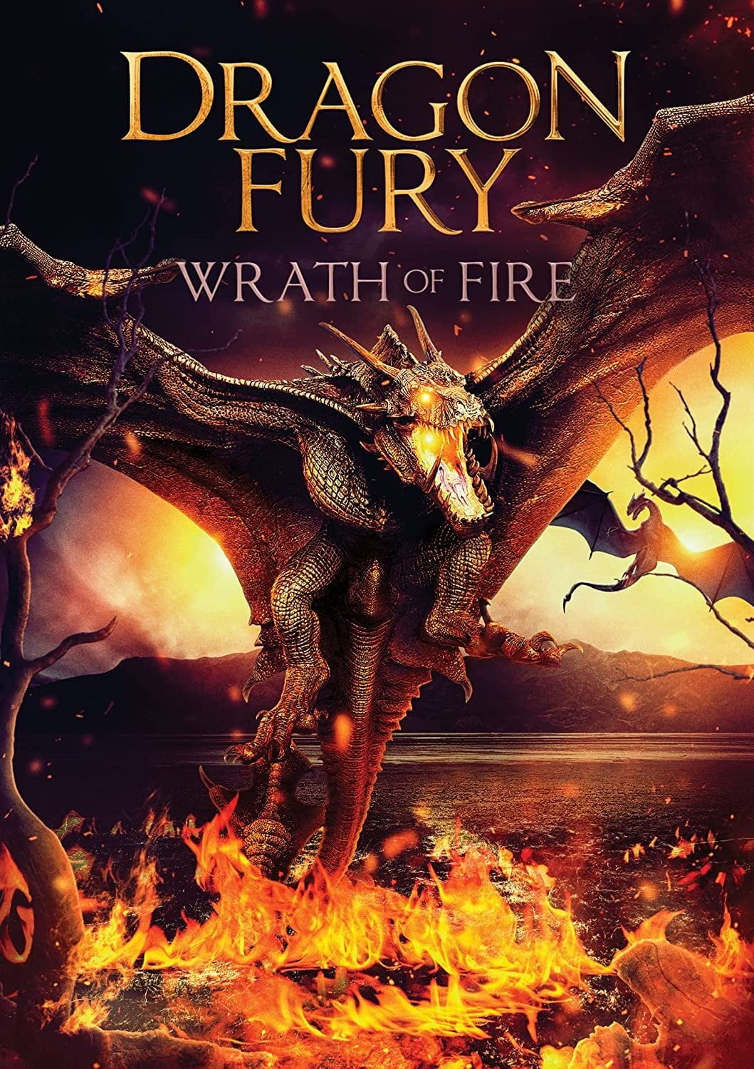 Dragon Fury Wrath Of Fire (DVD)