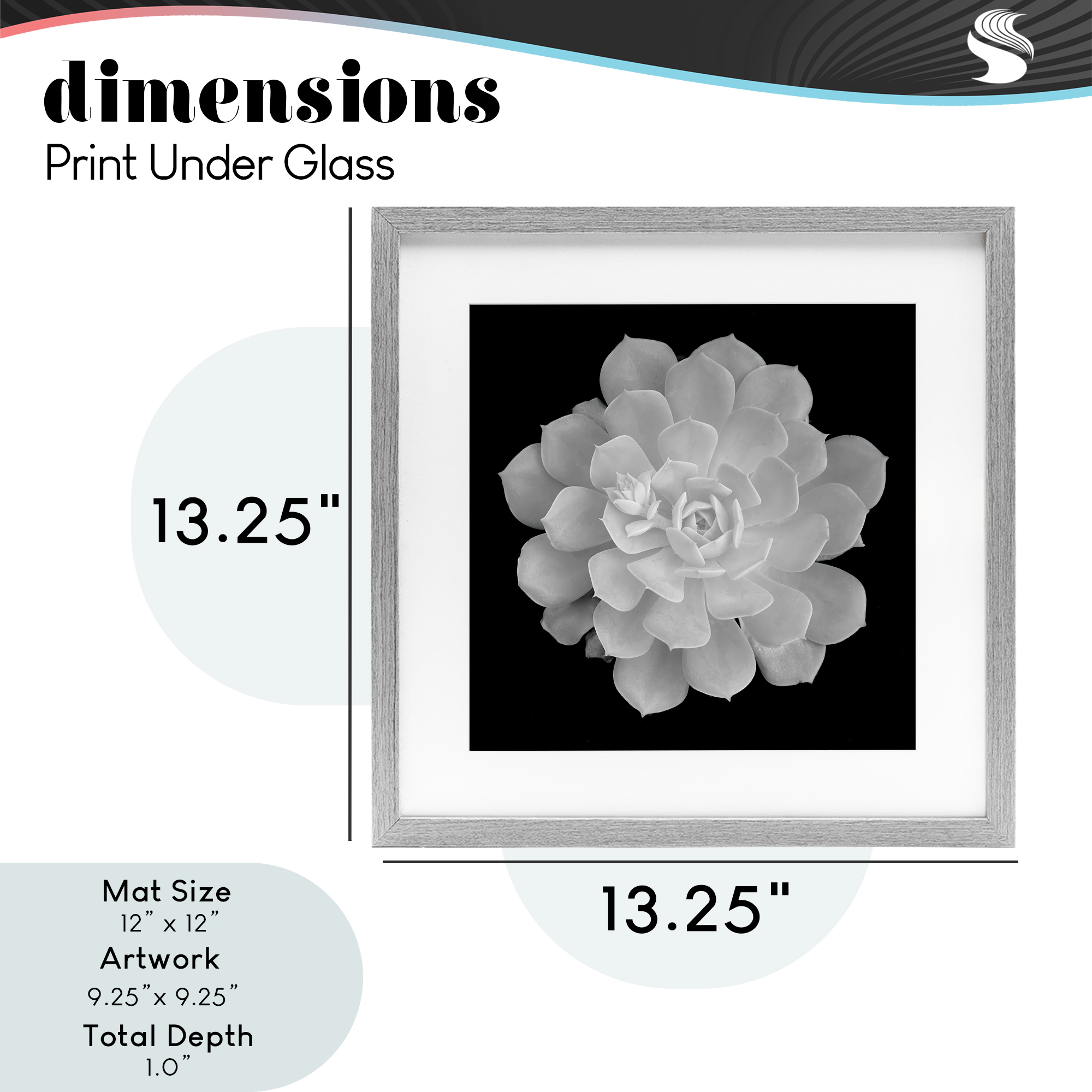 Pure White Succulent Contrast Gray Framed Print Under Glass, design by Phillip Flowers