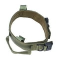 thumbnail image 3 of Pet Dog Collar Nylon Training Hunting Traction Collar with Steel Buckle Pet AccessoryGreen, 3 of 22