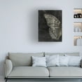 thumbnail image 2 of Canvas Wall Art - Tom Quartermaine 'Grunge Butterfly' Wall Art for Living Room, Bedroom, or Office Décor by Trademark Fine Art - 14 x 19 Inches, 2 of 4