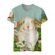 thumbnail image 4 of Blusa de manga corta con cuello redondo para mujer a la moda, camisetas sueltas con estampado Fridja  bn6610, 4 of 5
