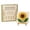 A, variant on GWAAMB Watering Can Art Kit, Floral DIY Bead Set with Sunflower, 0.17 fl oz, Sea Glass Mosaic Craft for Home Decor, Gift for Adults and Teens, A
