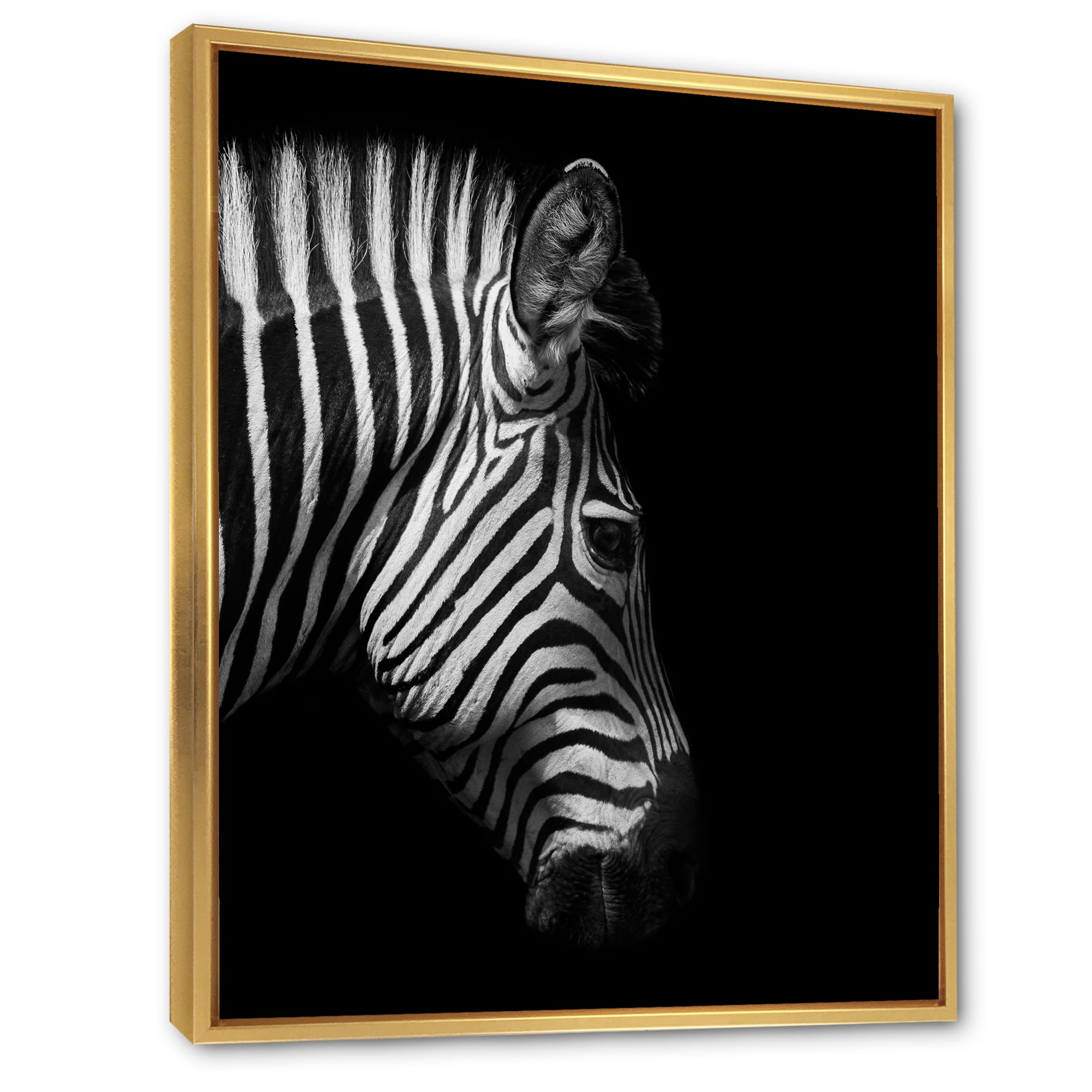 Designart 'Black and White Portrait of Zebra Head' Farmhouse Framed Canvas Wall Art Print