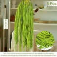 thumbnail image 2 of Triani 5Pcs  Preserved Amaranthus Flowers 16"-28" Wisteria Hanging Vine Flowers Dried Amaranthus Hanging Flowers for Wall Hanging Flower Arrangement Vase（Light Green）, 2 of 7