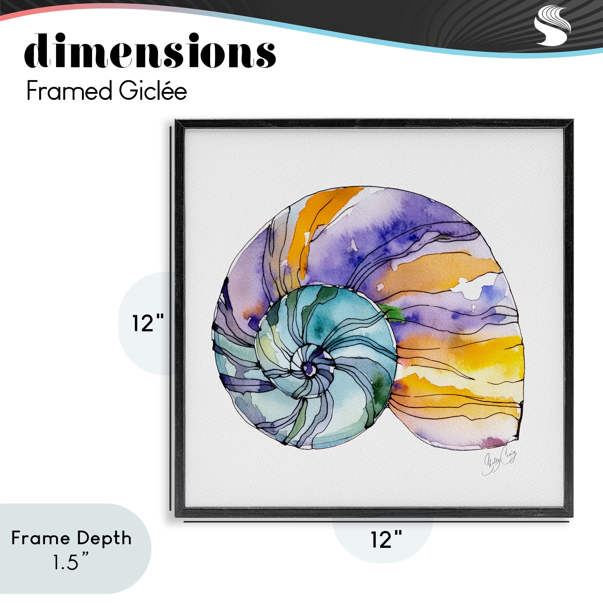 Stupell Industries Sunlit Striped Nautilus Black Framed Giclee Art, design by Shelly Craig