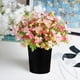 thumbnail image 4 of 10 macetas simples de un galón para flores, de plástico, para jardín, vivero (negras), 4 of 5