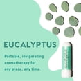 thumbnail image 4 of MOXE Nasal Stick Inhaler Eucalyptus Essential Oil Scent , 3 Pack, 4 of 7