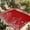 White Bright Red, variant on Blue Botanical Outdoor Rug for Patio/Deck/Porch, Non-Slip Large Area Rug 5 x 7 Ft, Farmhouse Spring Summer Flower Indoor Outdoor Rugs Washable Area Rugs, Reversible Camping Rug Carpet Runner