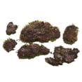 thumbnail image 3 of Vickerman Premium Green Mood Moss - 2.75 lbs/Bx, 3 of 5
