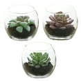 thumbnail image 1 of 3pcs artificial succulent glass potted plants creative small ornaments simulation plant bonsai, 1 of 5