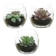 thumbnail image 1 of 3 uds plantas en macetas de vidrio suculentas artificiales pequeños adornos creativos planta de simulación bonsái, 1 of 5