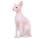 thumbnail image 3 of Decoración De Modelo De Gato Sin Pelo,Simulación Modelo De Gato Sin Pelo Simulación Modelo De Gato Sin Pelo Modelo De Gato Sin Pelo Adorno Calidad Inigualable, 3 of 8