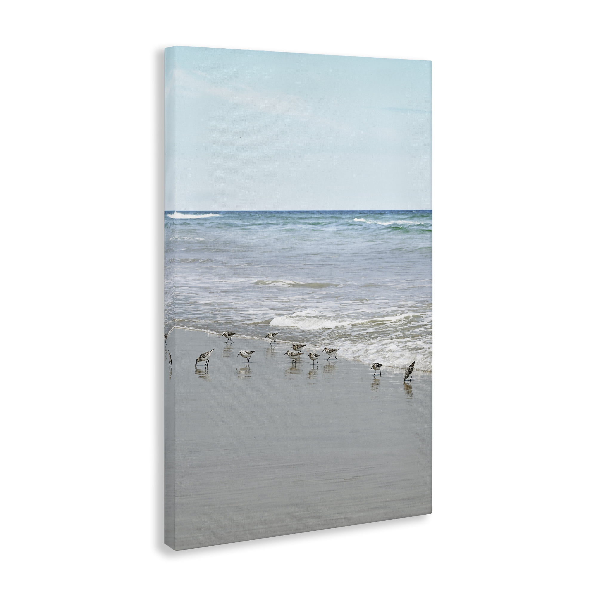 Stupell Industries Energetic Beach Birds Nautical & Beach Photography Wrapped Canvas Art Print Wall Art, 30 x 45