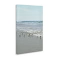 thumbnail image 4 of Stupell Industries Energetic Beach Birds Nautical & Beach Photography Wrapped Canvas Art Print Wall Art, 24 x 36, 4 of 8