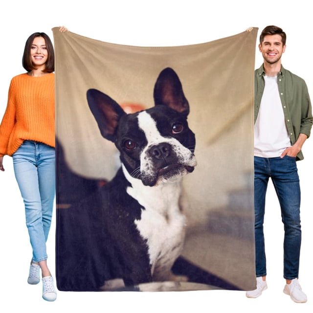 Terrier Boston anti-pilling, suave, ligera, esponjosa y acogedora de lujo para hogar y cocina – Perfecta para niños y adultos,50X70cm