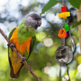thumbnail image 2 of 1047 Spoon Pot Ringer Banger M&M Bird Toys Colorful Features Stainless Steel, 2 of 5