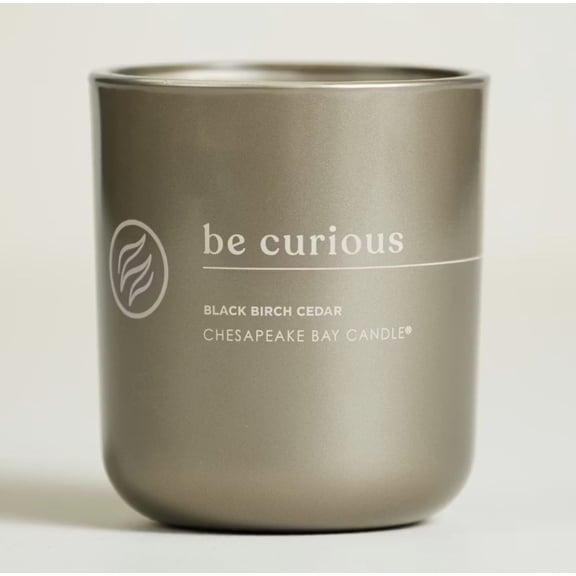 Chesapeake Bay Candles Intentions Collection - Be Curious: Possibilities are endless (Black Birch Cedar) Medium 2-Wick Tumbler Candle
