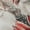 Ivory, variant on Addison Rugs Mayfield Premium Machine Washable Transitional Holiday Gnome Ivory Rectangle Rug, 10' x 14'