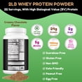 thumbnail image 5 of Shifaa Nutrition Delicious Creamy Chocolate Halal Whey Protein Powder – 24g Protein, BCAAs & Glutamine – Gluten-Free, Non-GMO, Keto, 5 of 6