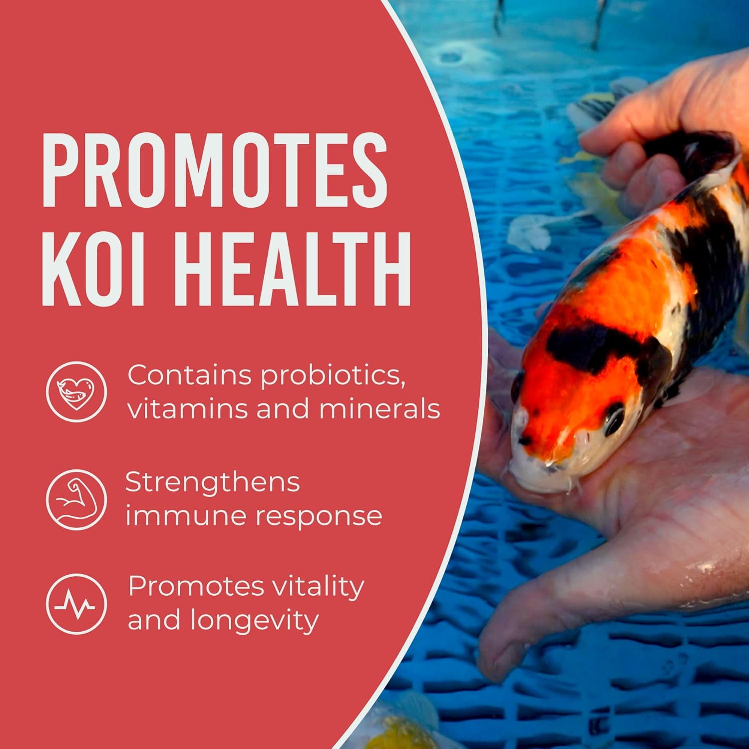 Blue Ridge Koi Fish Food 50lb - Koi Food 3/16” Platinum Pro Formula Goldfish Food, Premium Fish Food for Ponds, Floating Pond Pellets Fish Food