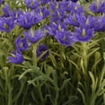 thumbnail image 4 of planta artificial decorativa con maceta blanca, 4 of 5