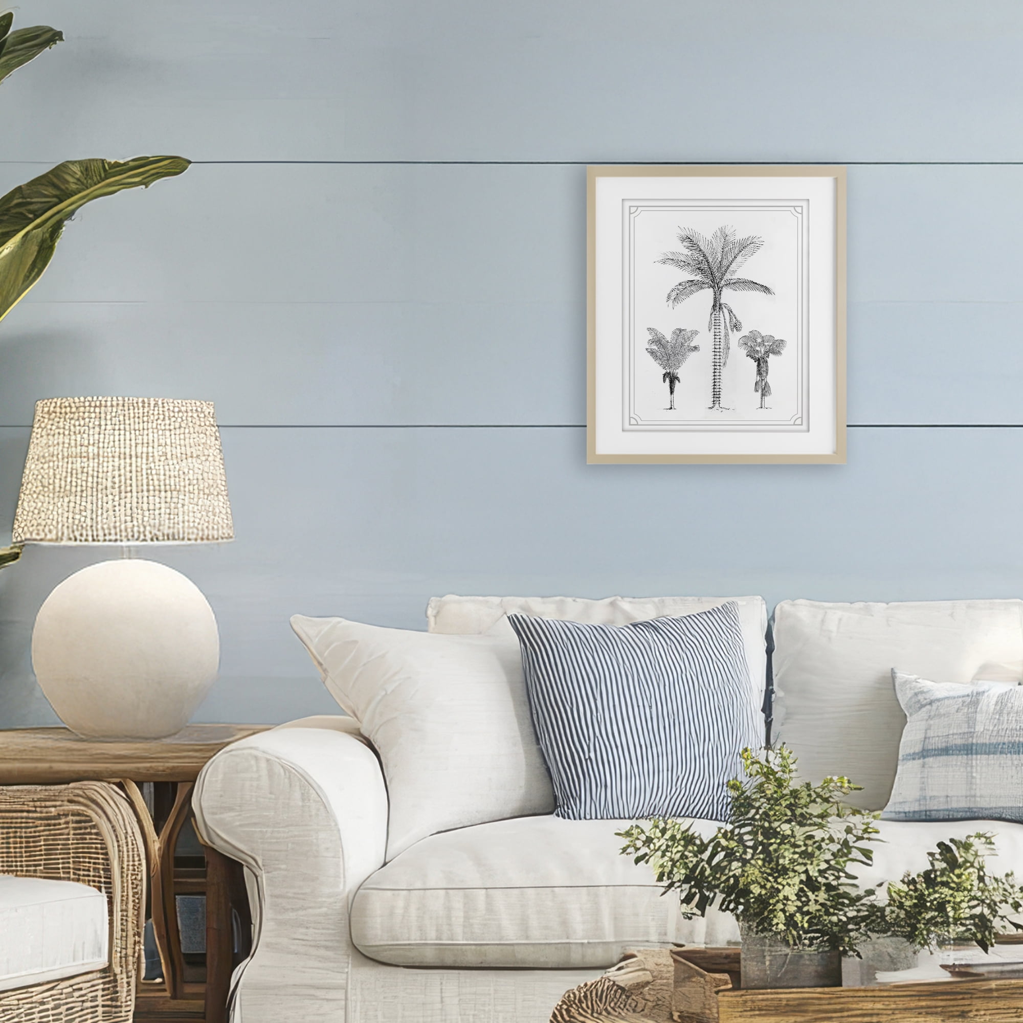 Palm Tree Trio Sketches Birch Framed Print Under Glass, design by Lettered and Lined