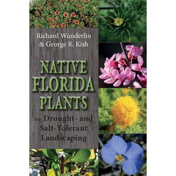 Native Florida Plants for Drought- And Salt-Tolerant Landscaping (Paperback)