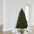 thumbnail image 3 of Vickerman 6.5' x 50" Oregon Fir Outdoor Artificial Christmas Tree,  Warm White Wide Angle LED Lights, 3 of 3