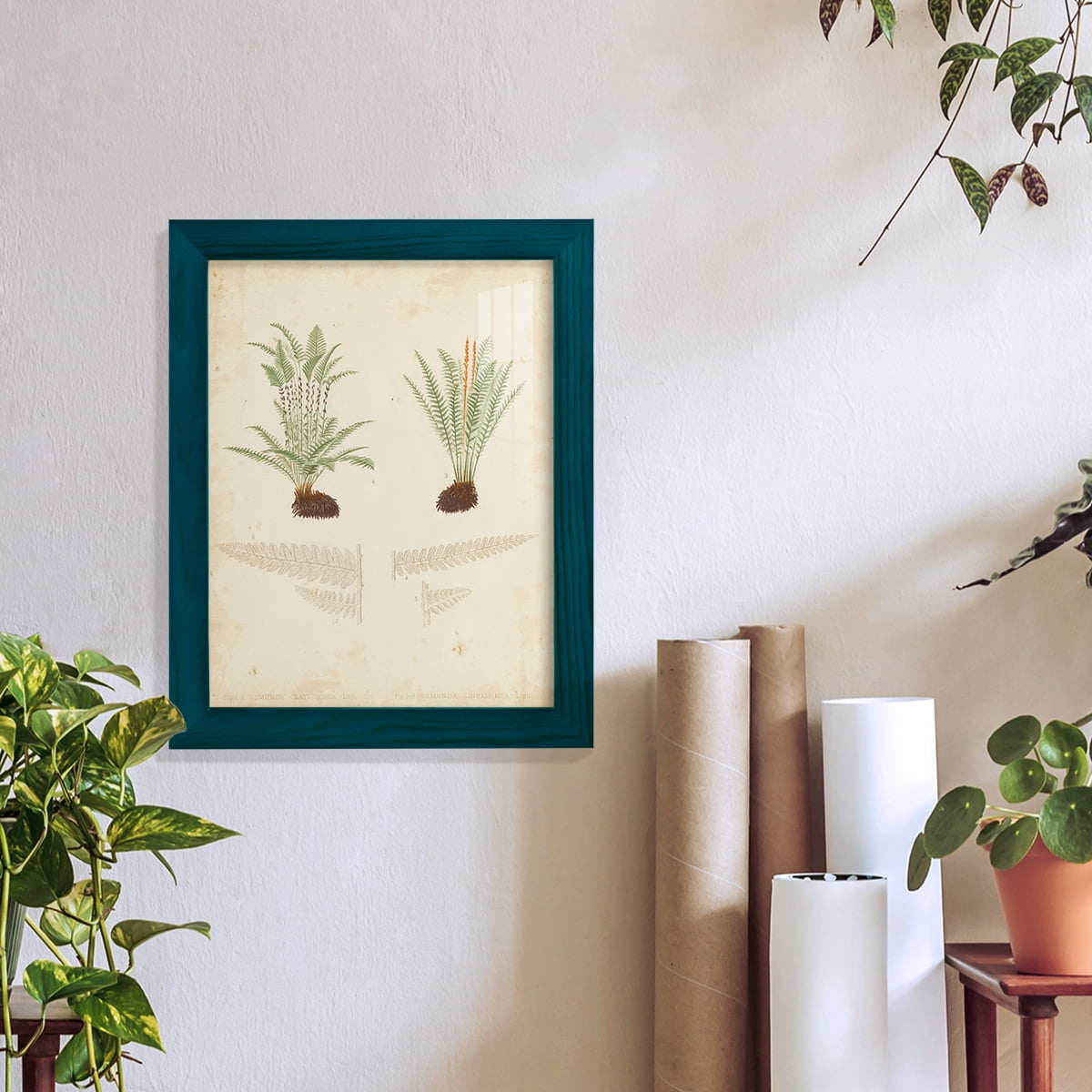 Fern Study III -Framed Print w/glass-Ocean Blue