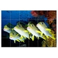 thumbnail image 1 of Sealife Picture Ceramic Tile Mural Kitchen Backsplash Bathroom Shower, 405825-M6, 1 of 3