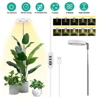 Spider Farmer SF2000 LED Grow Light Kit, 2x4 ft Tent, 202W, Full