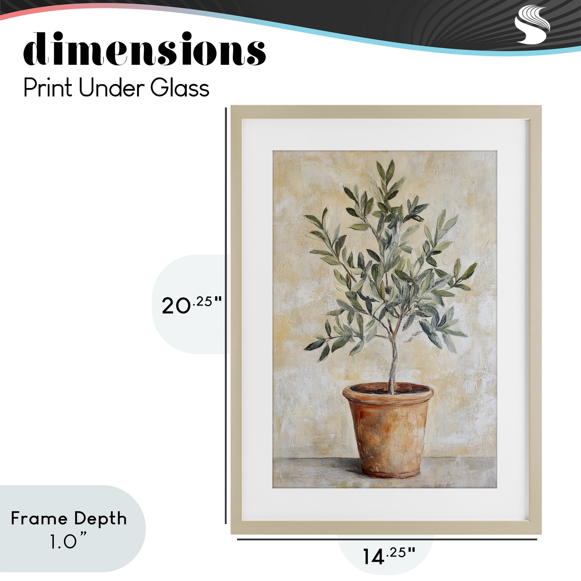 Stupell Industries House Plant in Terracotta Birch Framed Print Under Glass, design by Petal Prints Design